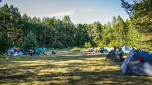 Campers & tents in a forest clearing