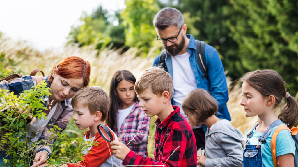 Outdoor school