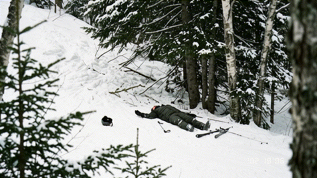 Skier crash near trees.